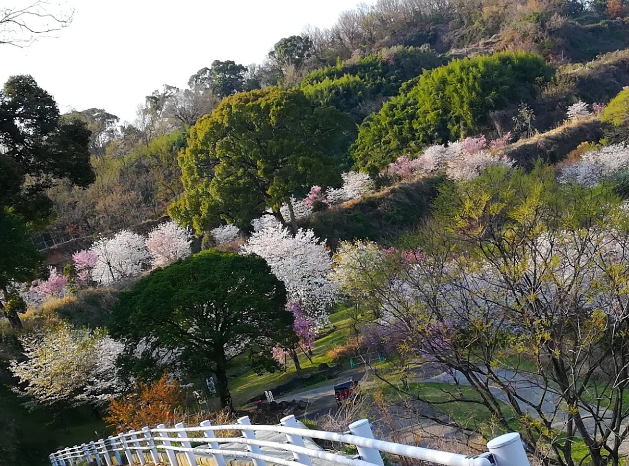万日山緑地公園