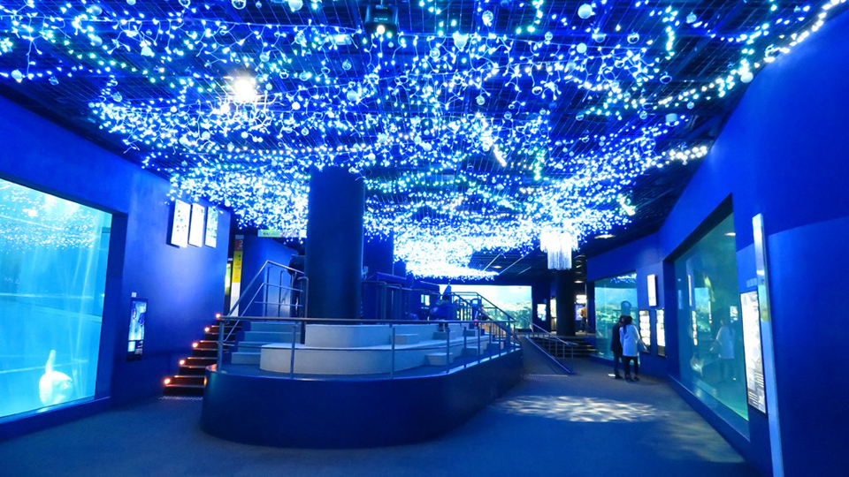 大洗水族館