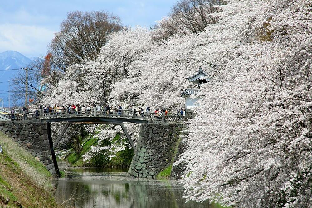 霞城公園